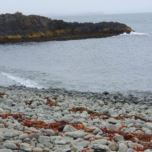 353530243_959638702017305_5461197545376981696_n