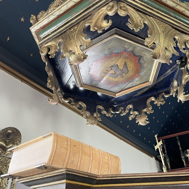 355568150_1298851767728421_2908037956434229869_n