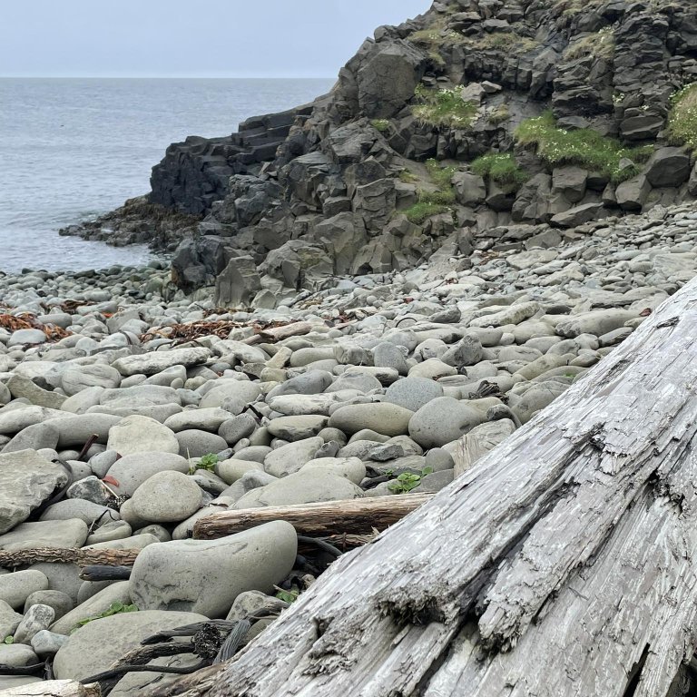 355583756_793016222438783_1165341601100038009_n