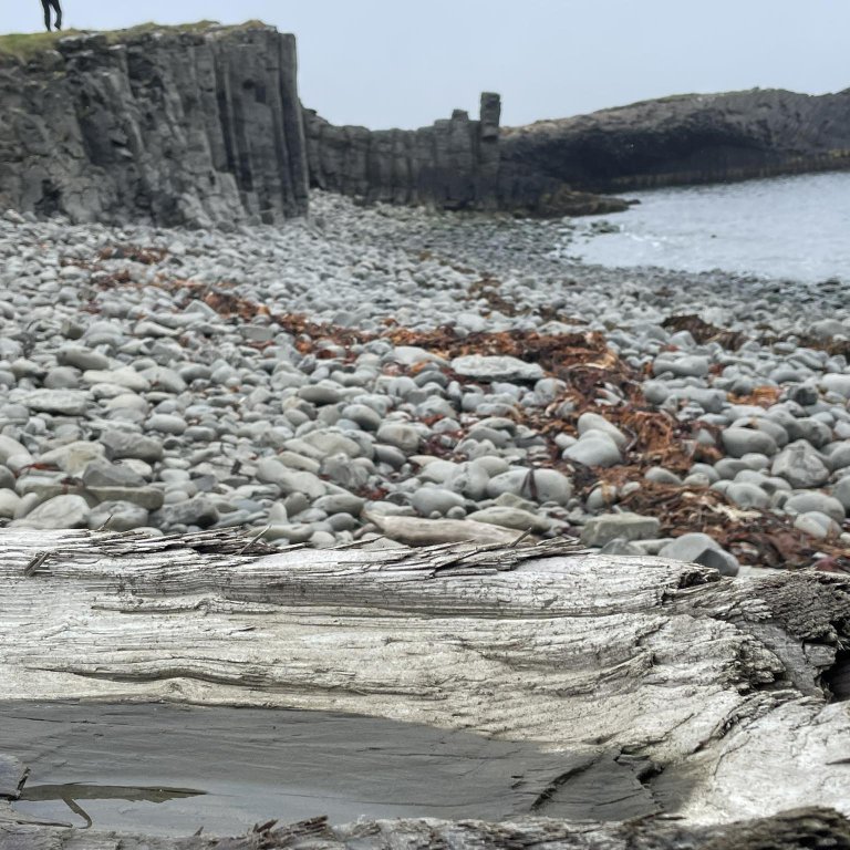 355636096_786847919602528_7949370494528212346_n