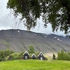 thumbnail_image004-2