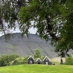 thumbnail_image005-2