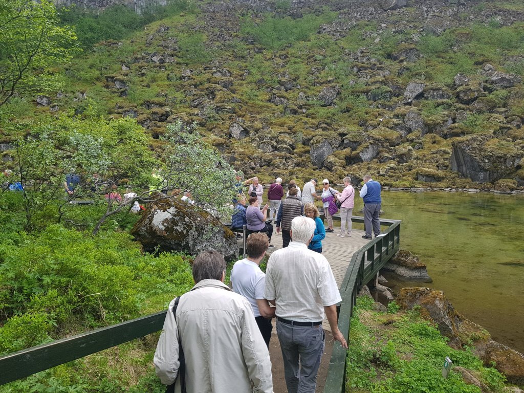 20190627_132955.jpg