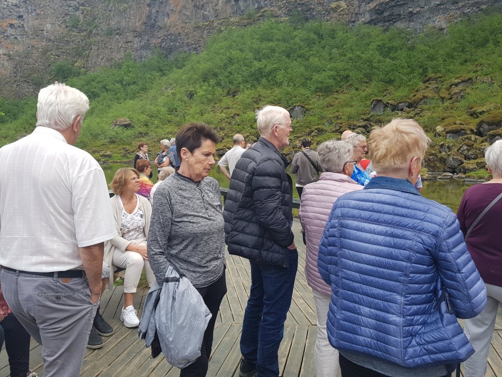 20190627_133019.jpg