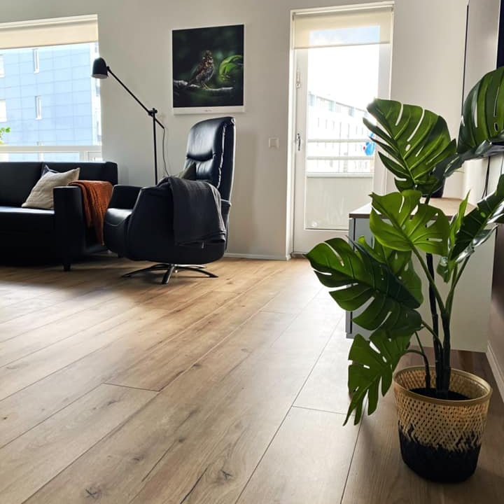 174067083_10158967410165734_956879158689454135_n