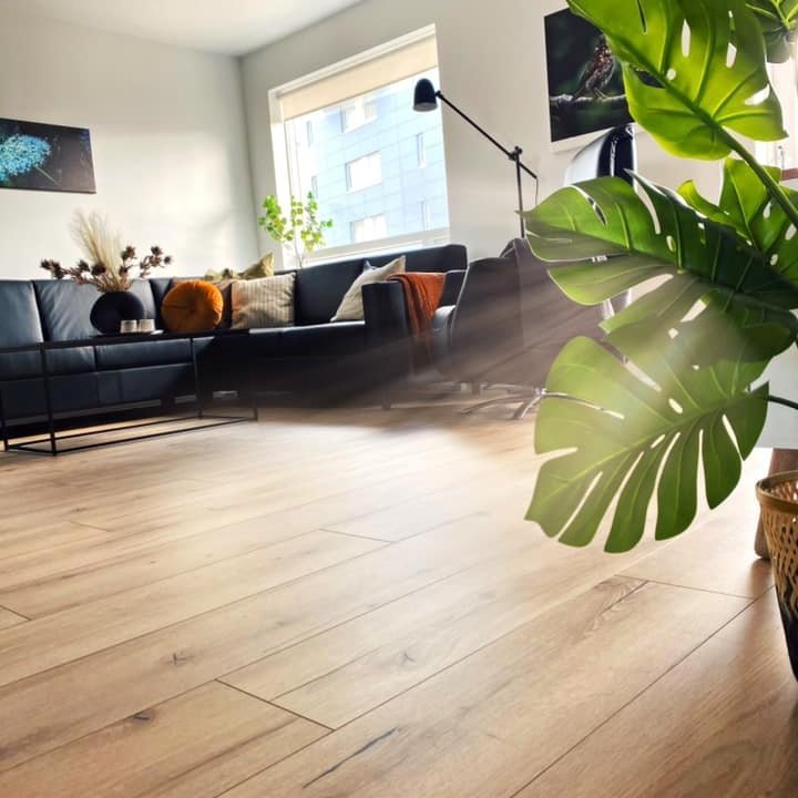 174182538_10158967409410734_8994928112737837509_n