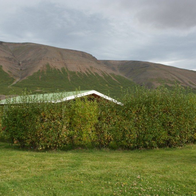 illugasta-adagur-2006-015