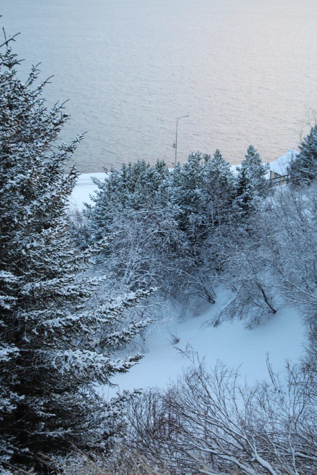 „Vika að eigin vali“