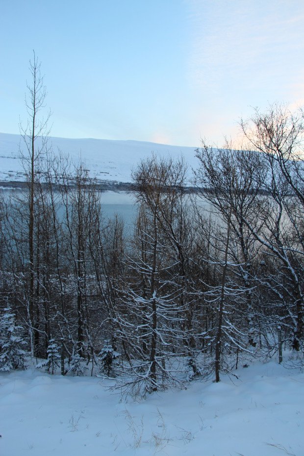 Starf forsætisráðherra 6-7 sinnum mikilvægara en umönnunarstarf