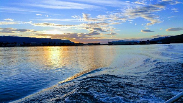 623 umsóknir um orlofshús