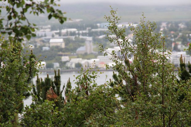 Vel búið að þeim sem hverfa af vinnumarkaði í aðildarfélögum ASÍ