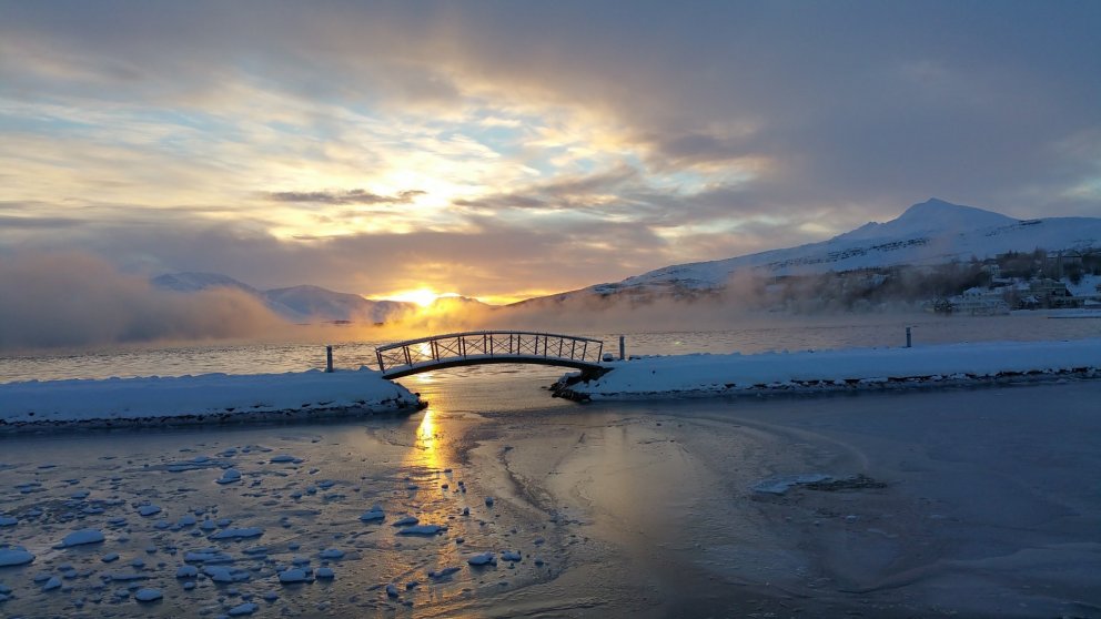Félagsmannasjóður!