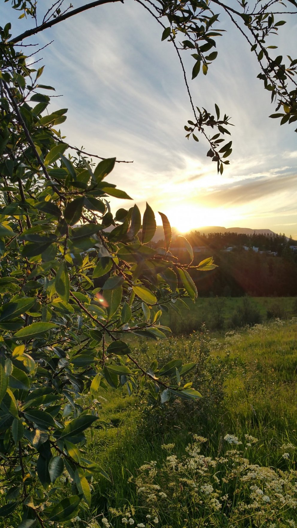 Málþing ASÍ og BSRB um heilbrigðismál (einnig í streymi)