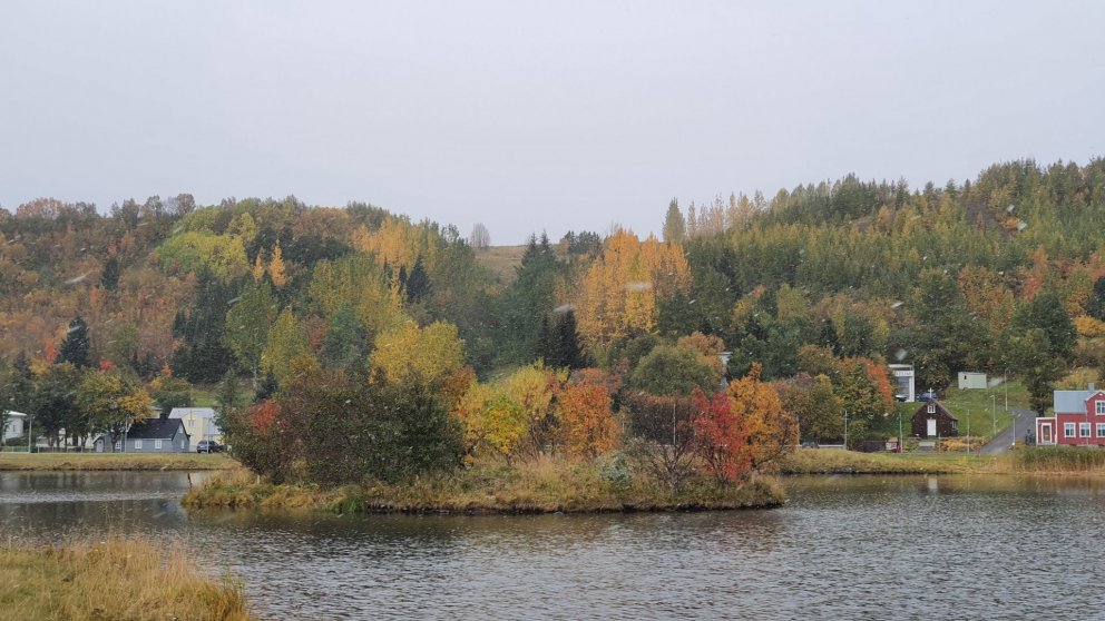 Athugið! Síðasti skiladagur vegna sjúkrasjóðs og fræðslusjóða er 24. ágúst nk.
