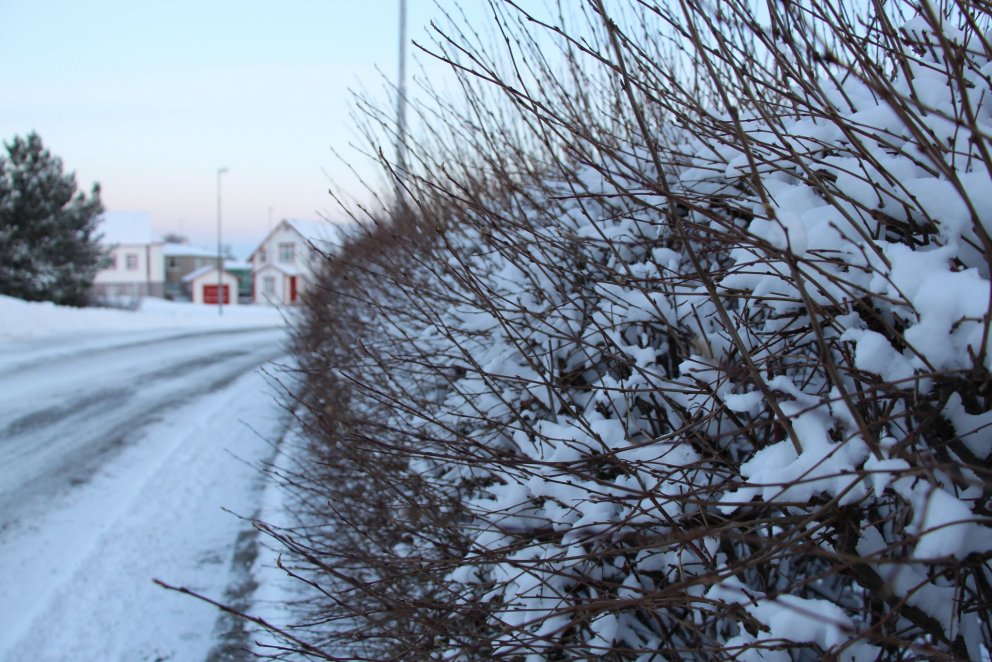Skilafrestur umsókna í sjúkra- og fræðslusjóði í desember