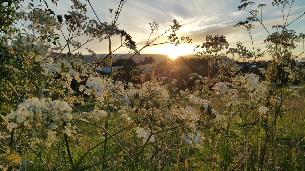 Greiðslur úr sjúkrasjóði rúmlega 266 milljónir