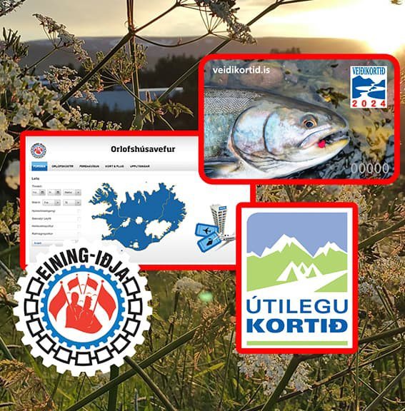 Frístundakortin finnið þið á orlofsvefnum