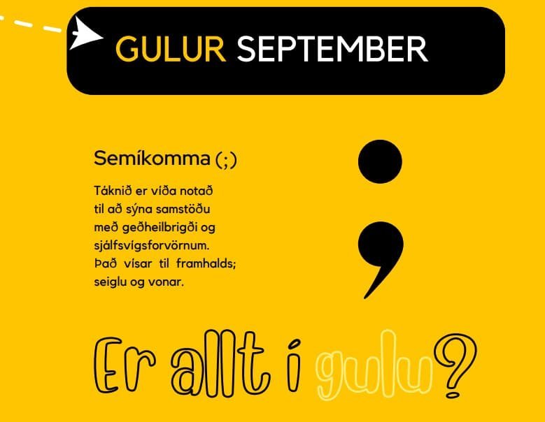 Er allt í gulu á þínum vinnustað? upptaka af fundi