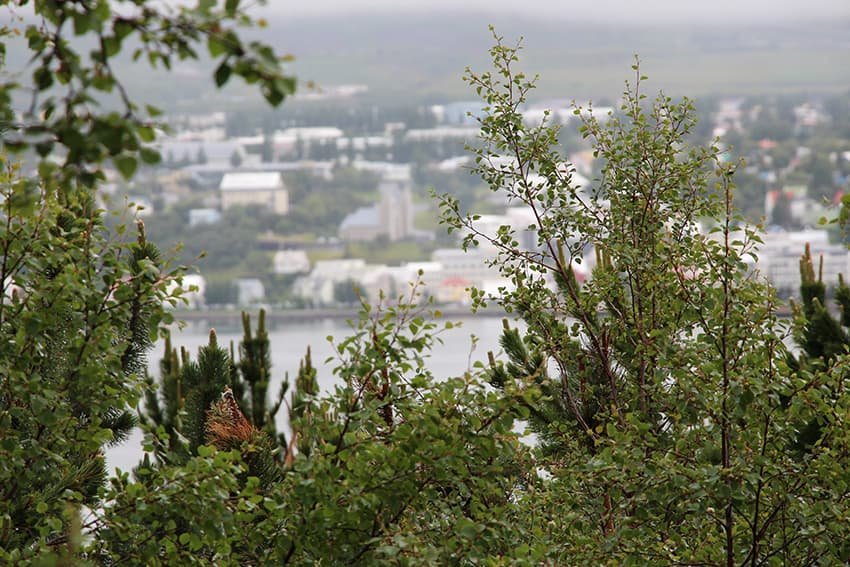 Séreign inn á lán - Ný lög samþykkt