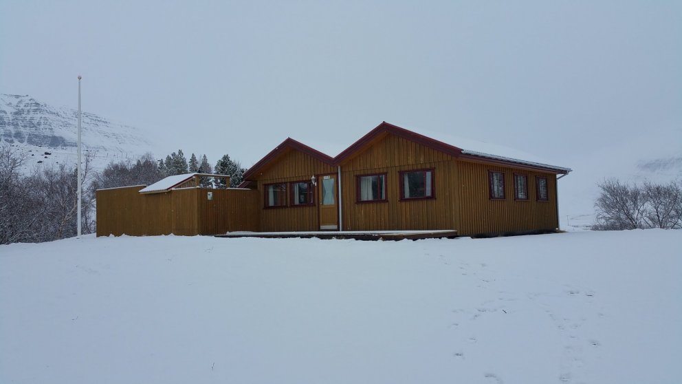 Laust í Tjarnargerði