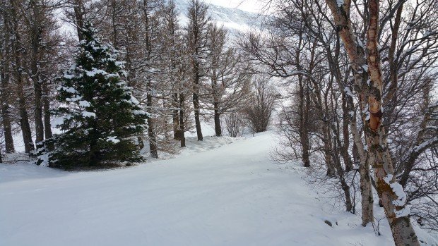 Lokum fyrr í dag, þriðjudaginn 13. desember