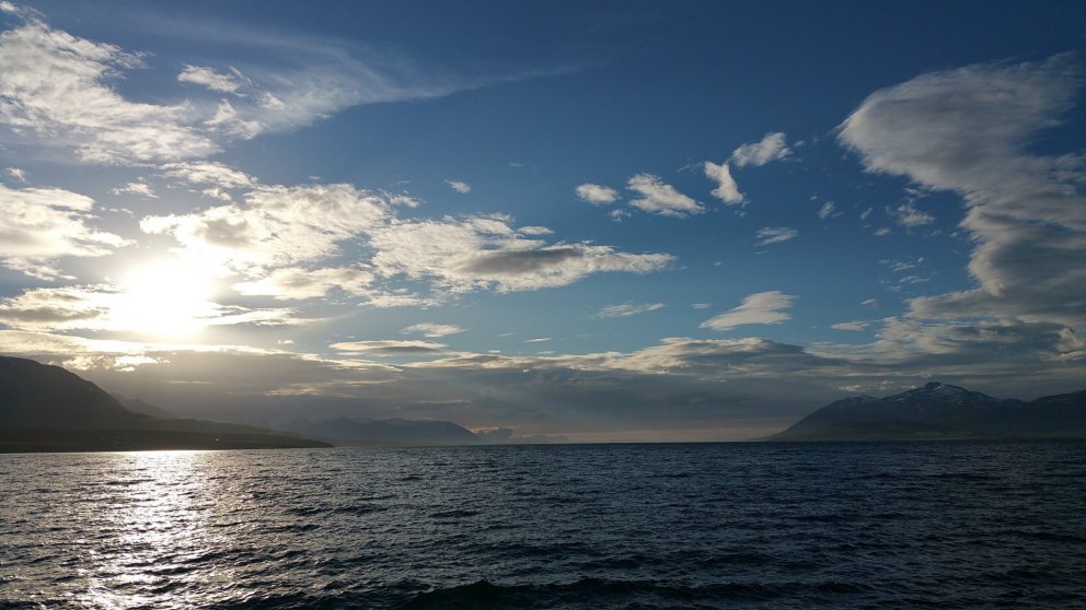 Ástæða vísunarinnar - Sveitarstjórnarfólk, hvað var svona rosalegt í þessari ályktun?