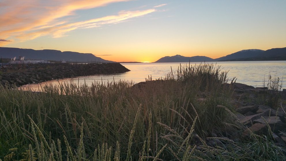 Reglur um skil á læknisvottorði