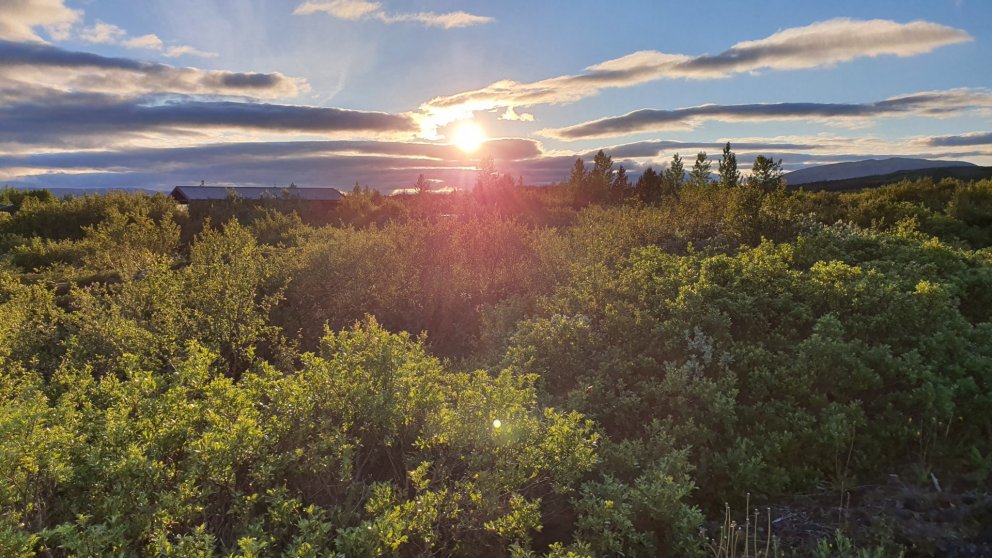 Orlof að eigin vali gildir fram til áramóta
