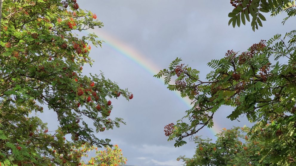 Sérfræðingahópur metur efnahagsleg áhrif COVID-kreppunnar