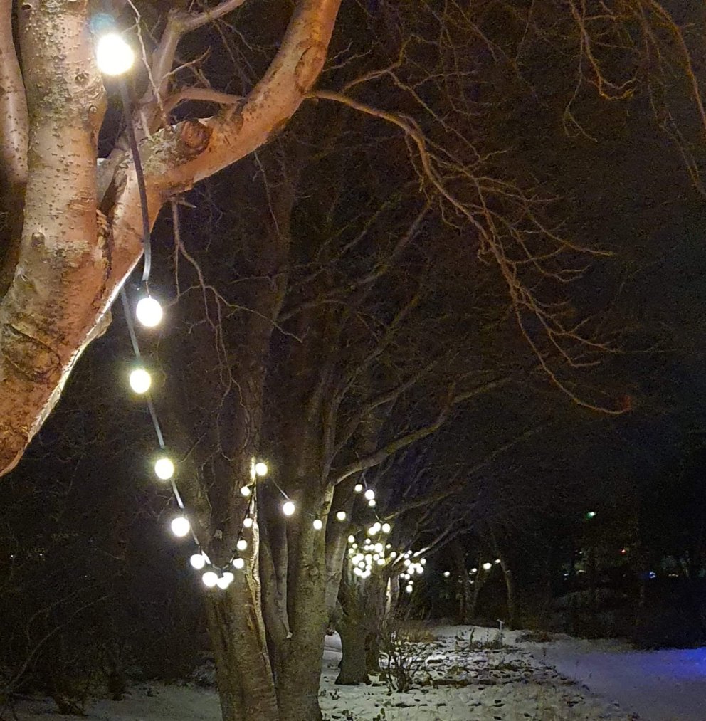 Reglur um skil á læknisvottorði