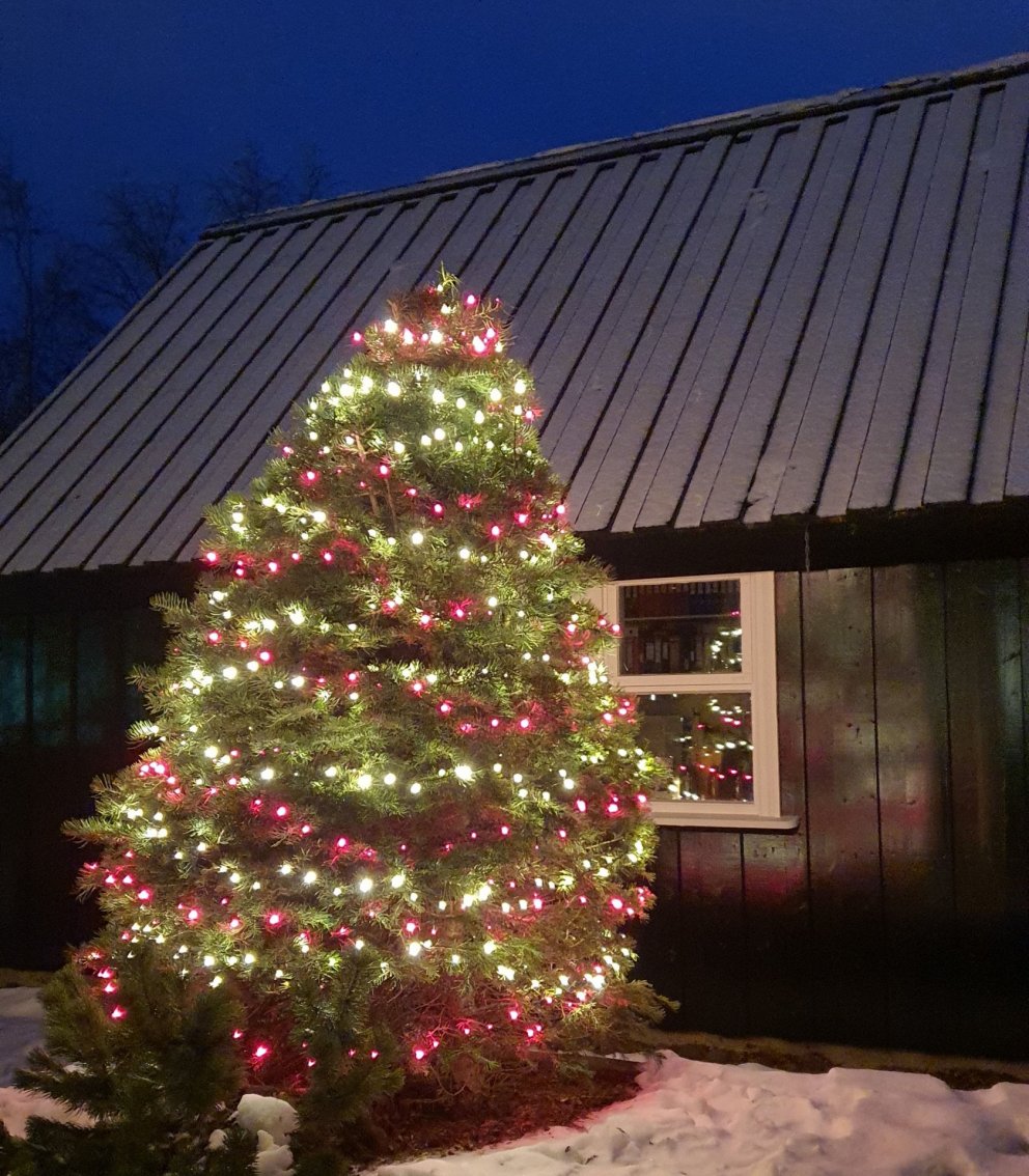Skil á gögnum í desember
