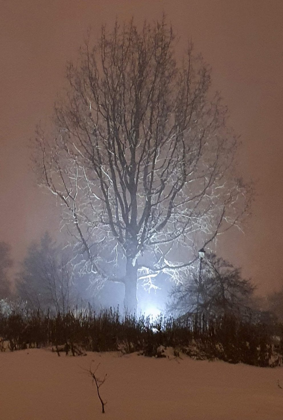 Allt að 7.000 búa í óleyfisíbúðum