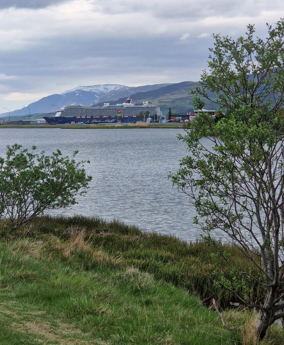 Eru félagsgjöldin ekki örugglega að skila sér?