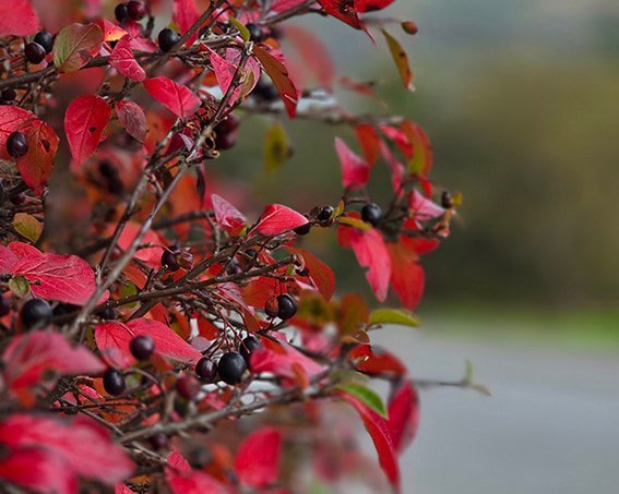 Almennt er ferðakostnaði innanlands breytt tvisvar sinnum á ári, að vori og að hausti, til þess að e…