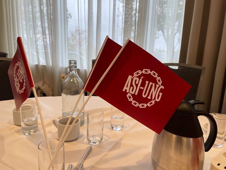 9. þing ASÍ-UNG - Elsa Hrönn kjörin í stjórn