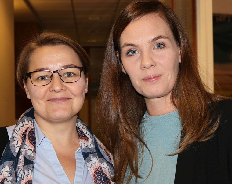 Kvennafrídagurinn 2019 - Hvenær náum við jafnrétti á vinnumarkaði?