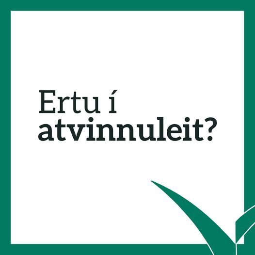 Ert þú í atvinnuleit?
