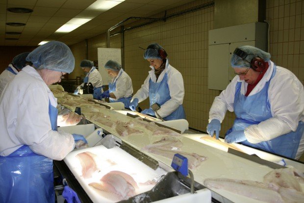 Gjögur greiðir starfsfólki afkomubónus