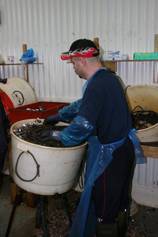 Nýr samningur við Landssamband smábátaeigenda