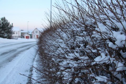 Gjaldskrár leikskóla hækka enn eitt árið