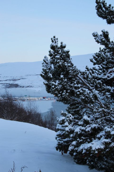 Er bara hægt að senda mig heim?