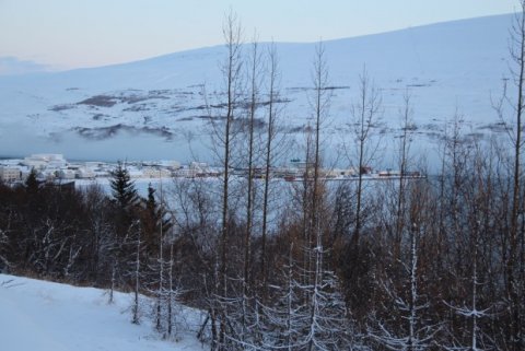 Aukinn brottflutningur íslenskra ríkisborgara þrátt fyrir góðæri