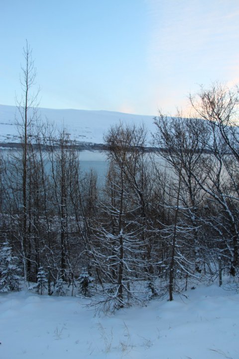 Starf forsætisráðherra 6-7 sinnum mikilvægara en umönnunarstarf