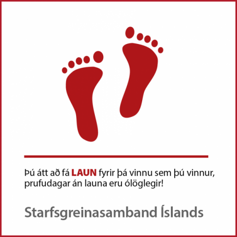 Fyrstu skrefin á vinnumarkaði