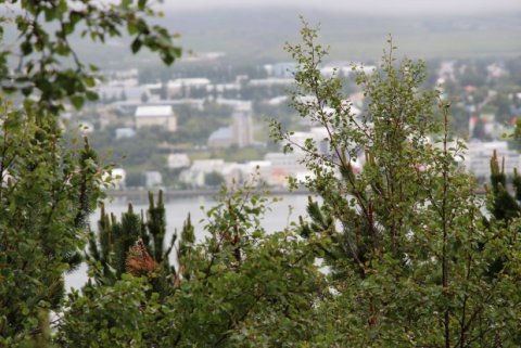 Samkomulag ASÍ og SA um hækkun á framlagi atvinnurekenda í lífeyrissjóði