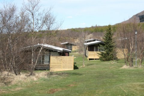 Laus orlofshús í sumar