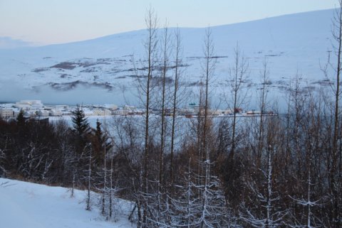 Var vinnuvika Íslendinga að styttast?