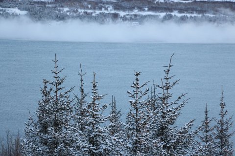 Skil á gögnum í desember