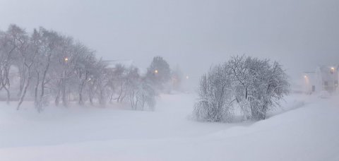 Fundi með ungum trúnaðarmönnum frestað