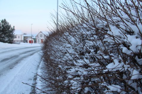 ASÍ og Neytendasamtökin krefjast þess skráningu á vanskilaskrá verði hætt vegna Covid 19